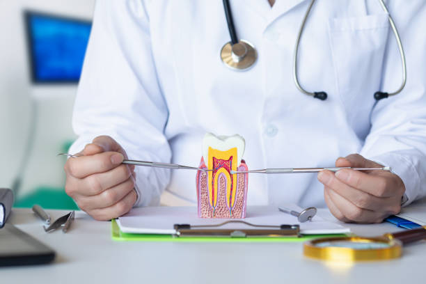 Best Emergency Wisdom Teeth Removal in Cleary, MS